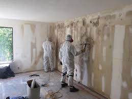 Mold Documentation for Insurance Claims in Newport, SC